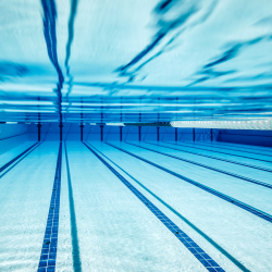 Norman Swimming: Northern Virginia’s Premier Developmental Swim Program